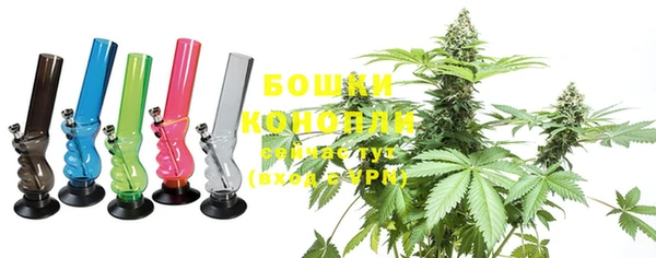 крисы Богородицк