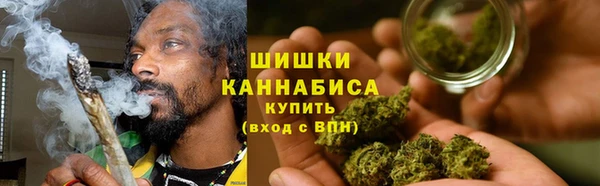 крисы Богородицк