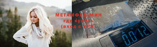 крисы Богородицк