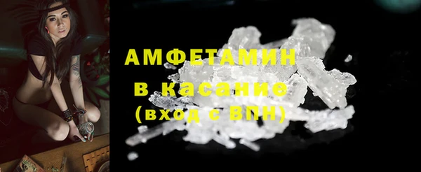 крисы Богородицк
