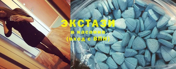 крисы Богородицк