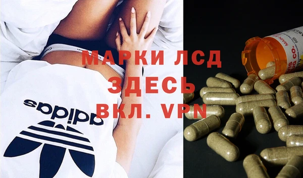 крисы Богородицк