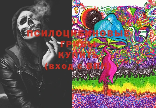 крисы Богородицк