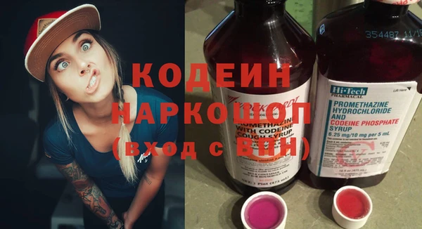 крисы Богородицк