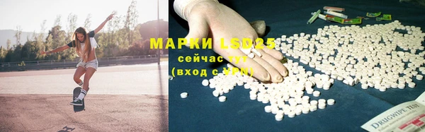 apvp Богданович